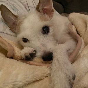 Meet your Posher, Ash